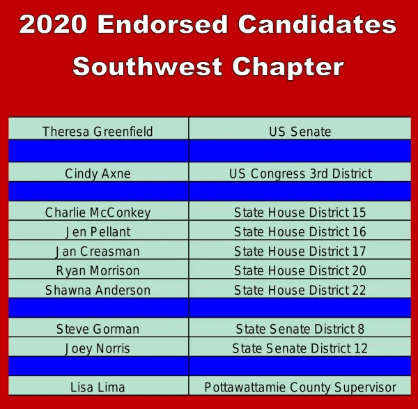 2020_endorsements_sw.jpg